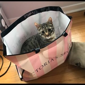 Meet your Posher, Carlyn